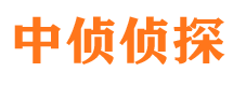 灵山市侦探调查公司